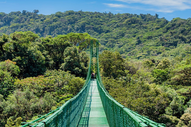 Suspension Bridges Self-Guided Tour photo