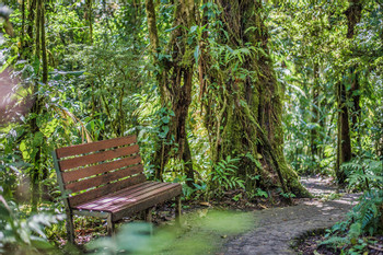 Suspension Bridges Self-Guided Tour photo 3