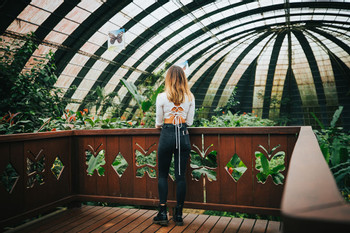 Suspension Bridges, Sloth Sanctuary and Butterfly Garden photo 3