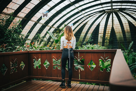Suspension Bridges, Sloth Sanctuary and Butterfly Garden photo 3