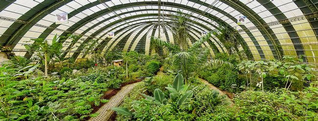 Suspension Bridges, Sloth Sanctuary and Butterfly Garden photo