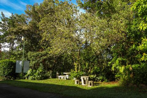 Cabañas y Jardines Los Pinos Costa Rica