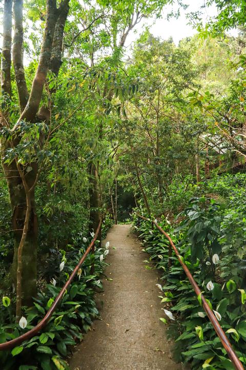Cabañas y Jardines Los Pinos Costa Rica