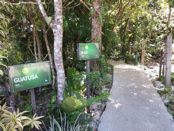 Hotel Cala Lodge Monteverde photo 5
