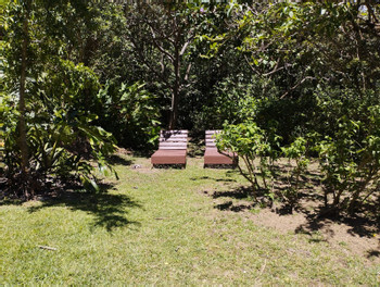 Hotel Cala Lodge Monteverde photo 4