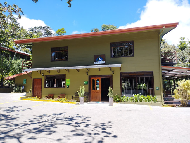 Hotel Cala Lodge Monteverde photo