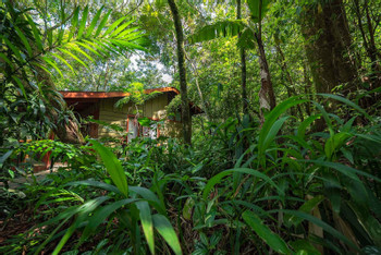 Jaguarundi Lodge photo 5
