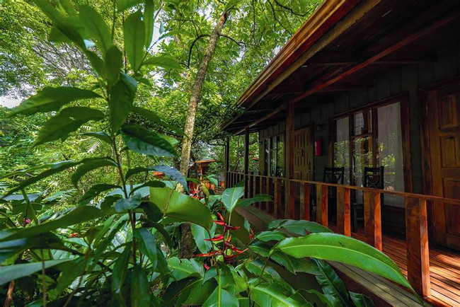 Jaguarundi Lodge photo