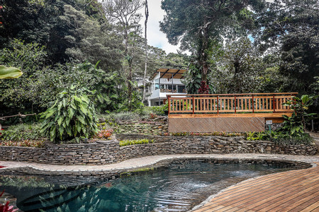 Monteverde Lodge & Gardens photo 2