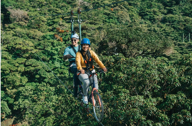 Arboreal Challenge Course Photo