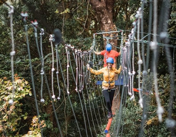 Arboreal Challenge Course photo 5
