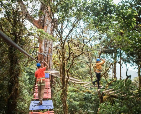 Arboreal Challenge Course photo 3