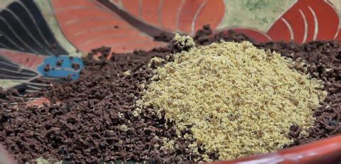 Don Juan Coffee, Chocolate & Sugar Cane Costa Rica