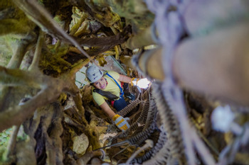 The Original Canopy Tour  photo 4
