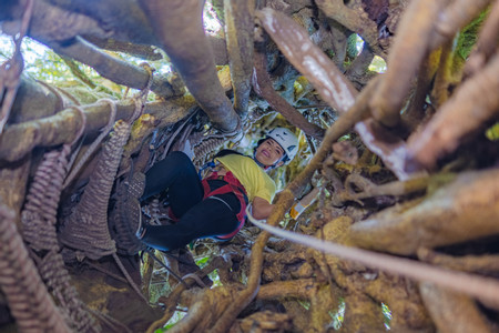 The Original Canopy Tour  photo 2