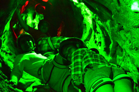 Tree Top Climbing Night Tour photo 2