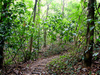 Cabo Blanco Guided Hike photo 2