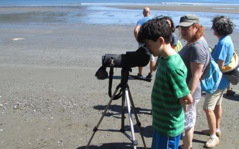 Curu Wildlife Refuge Tour—Montezuma, Costa Rica