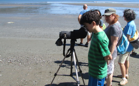 Curu Wildlife Refuge Tour—Montezuma, Costa Rica