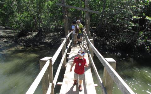 Curu Wildlife Refuge Tour—Montezuma, Costa Rica Costa Rica