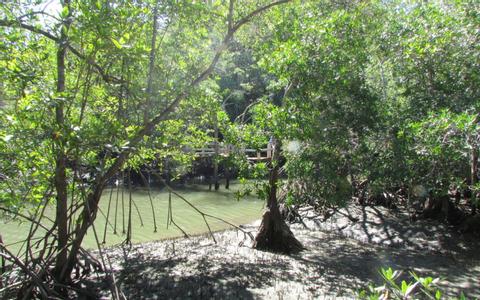 Tour Refugio de Vida Silvestre Curú — Montezuma, Costa Rica Costa Rica