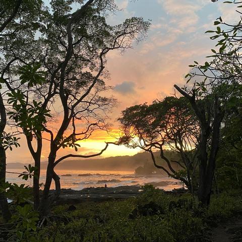 Montezuma Surf Lessons Costa Rica