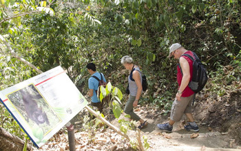 Montezuma Waterfall photo 5