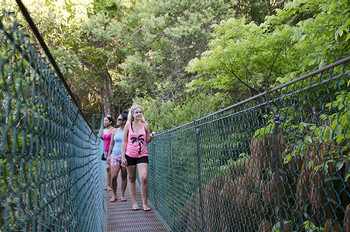Montezuma Waterfall photo 4