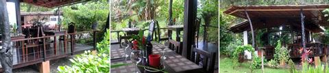 Ceiba Tree Lodge Costa Rica