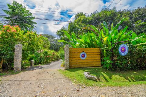 Mono Feliz Costa Rica