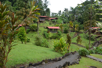 Pacuare River Lodge photo 3