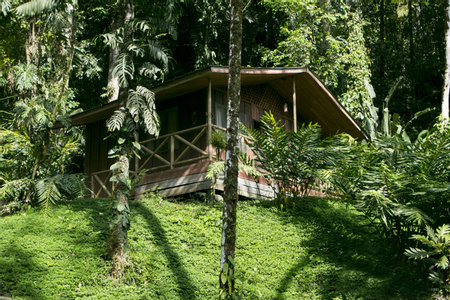 Ave Sol - Tropical Rivers  - Pacuare, Costa Rica | Anywhere