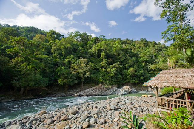 Ave Sol - Tropical Rivers  - Pacuare, Costa Rica | Anywhere