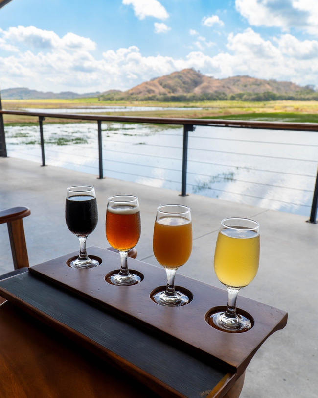 The Brewery Experience Photo