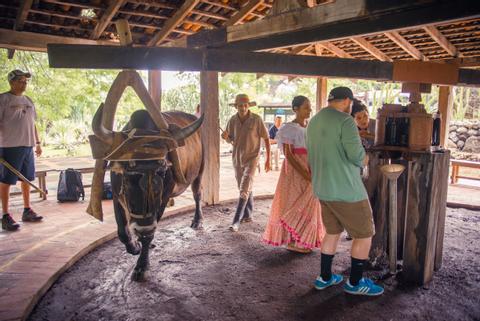 Palo Verde Boat Expedition & Cultural Tour Costa Rica