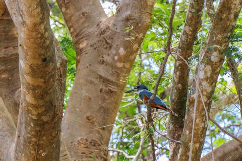 Palo Verde Boat Expedition & Cultural Tour Costa Rica