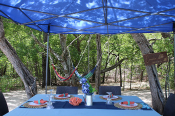Full Day Fun at the Ocean Tour with BBQ at the Beach photo 4