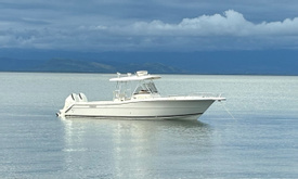 Papagayo Sportfishing Tour Game On Boat (32") - Half Day - Max 8 Pax