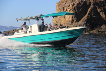 Papagayo Sportfishing Tour Raccoon Boat (25") - Half Day - Max 6 Pax photo 5
