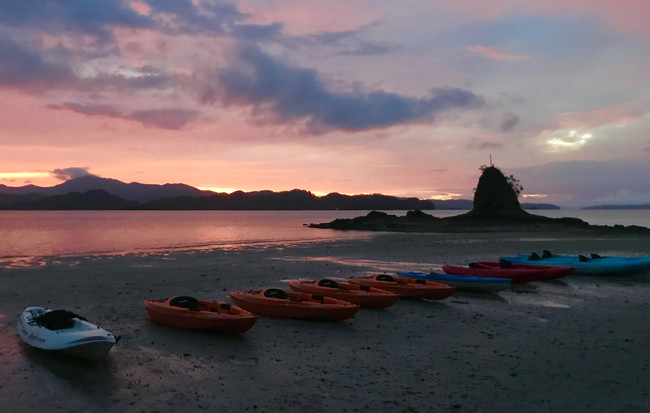 Tour de bioluminiscencia en kayak photo