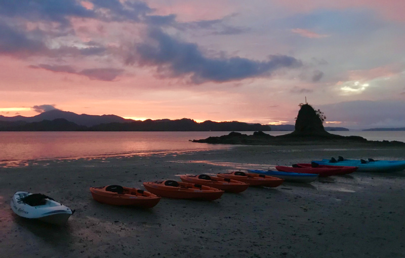 Tour de bioluminiscencia en kayak photo