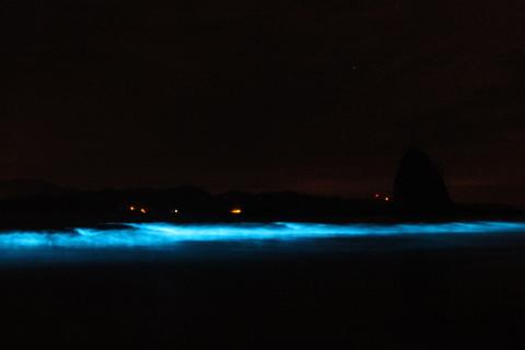Bioluminescent Kayak Tour Costa Rica