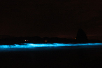 Tour de bioluminiscencia en kayak photo 3