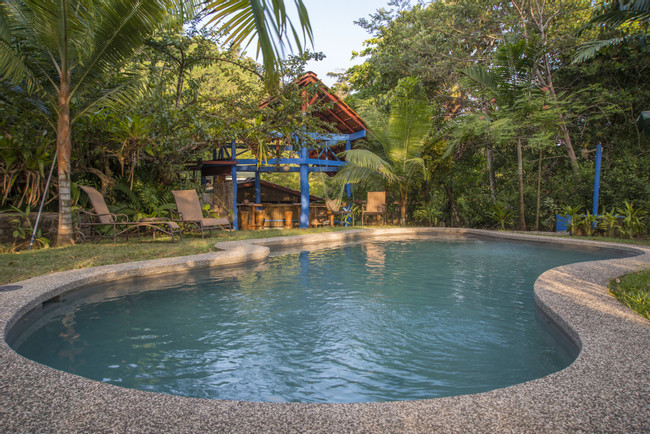 Tiskita Jungle Lodge photo