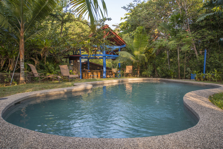 Tiskita Jungle Lodge photo
