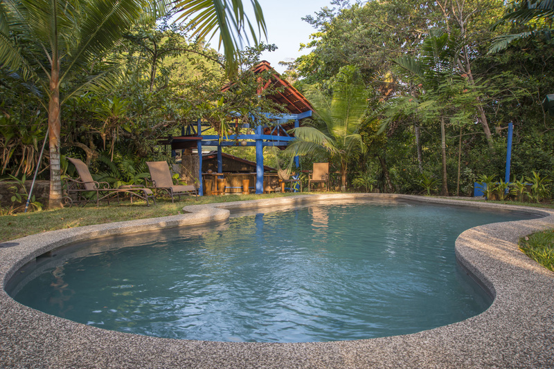 Tiskita Jungle Lodge photo