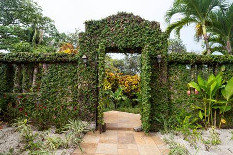Hacienda Barrigona Costa Rica