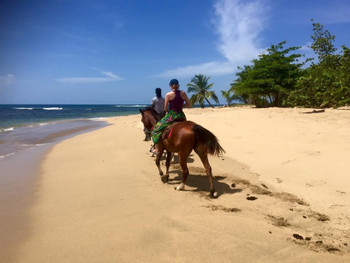 Tour de Cabalgata por la Playa y la Jungla photo 4