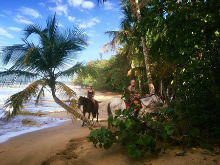 Tour de Cabalgata por la Playa y la Jungla photo 3