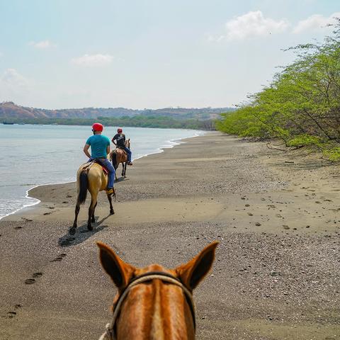 Forest and Beach Horseback Riding